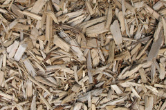 biomass boilers Murieston